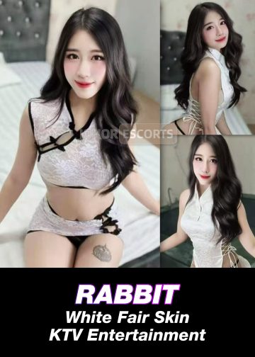 RABBIT