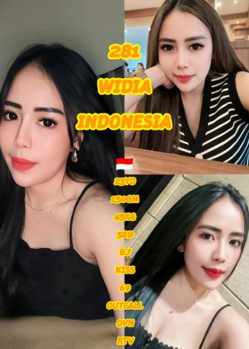281 WIDIA