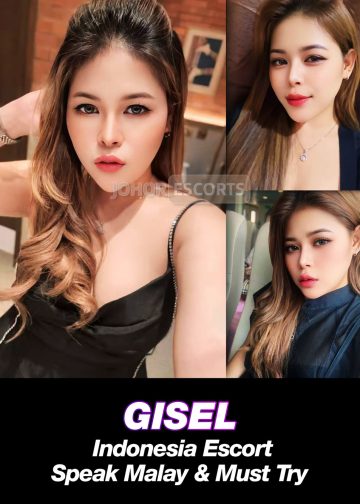GISEL