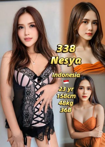 338 NESYA