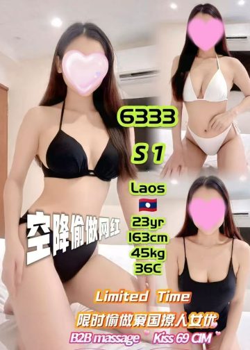 6333 S1
