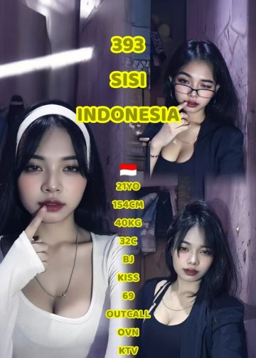 393 SISI